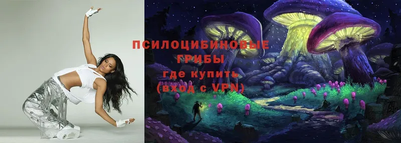 Псилоцибиновые грибы Magic Shrooms  гидра как войти  Аргун 